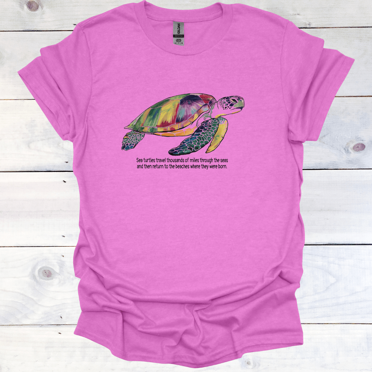 Back to the Beach Where I was Born