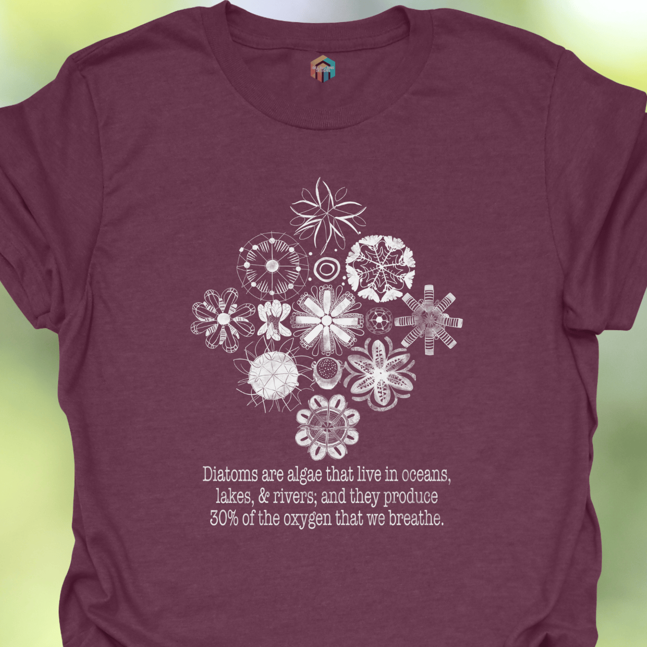 Diatoms are Our Friends T-Shirt