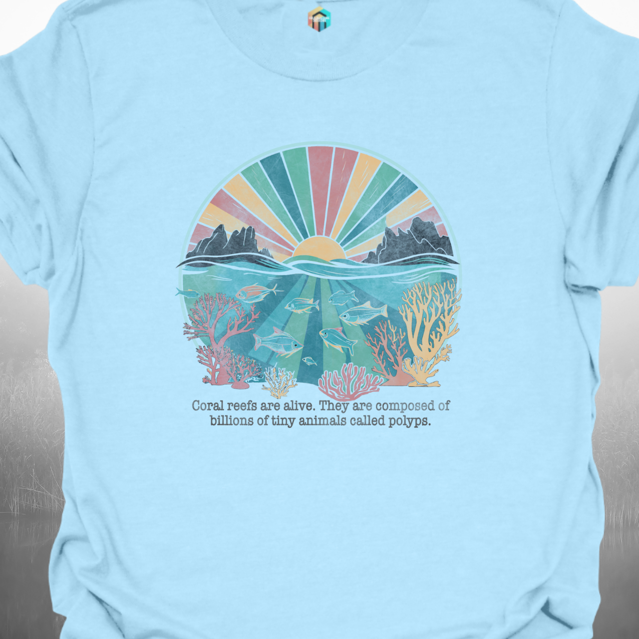 Coral Reefs Are Alive