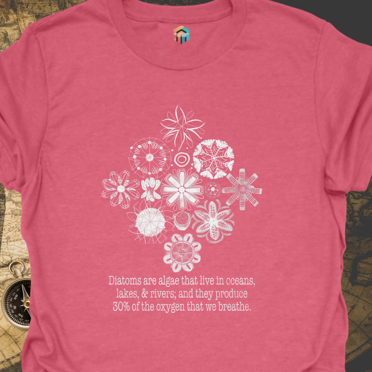 Diatoms are Our Friends T-Shirt