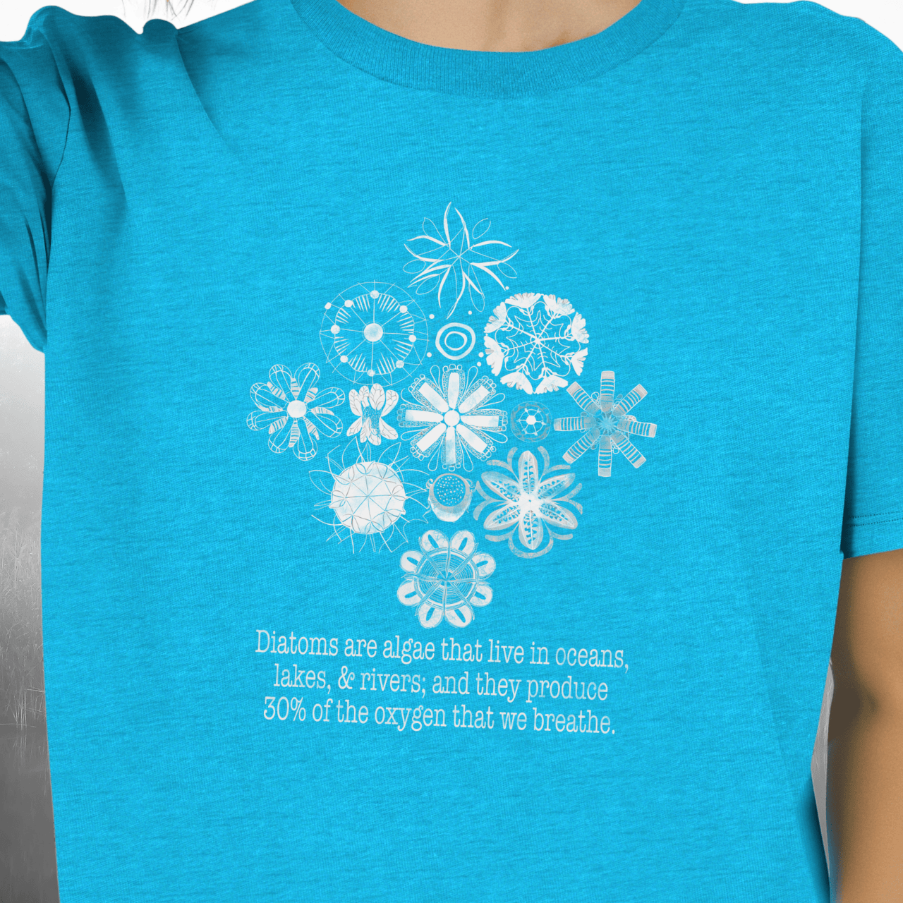 Diatoms are Our Friends T-Shirt