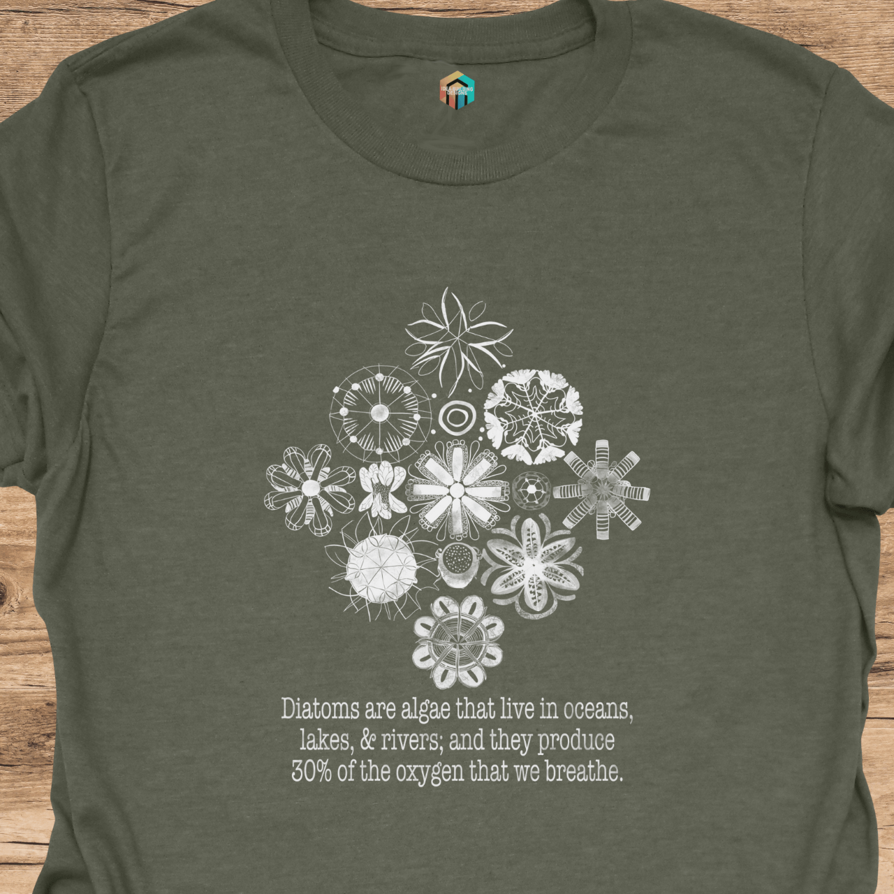Diatoms are Our Friends T-Shirt