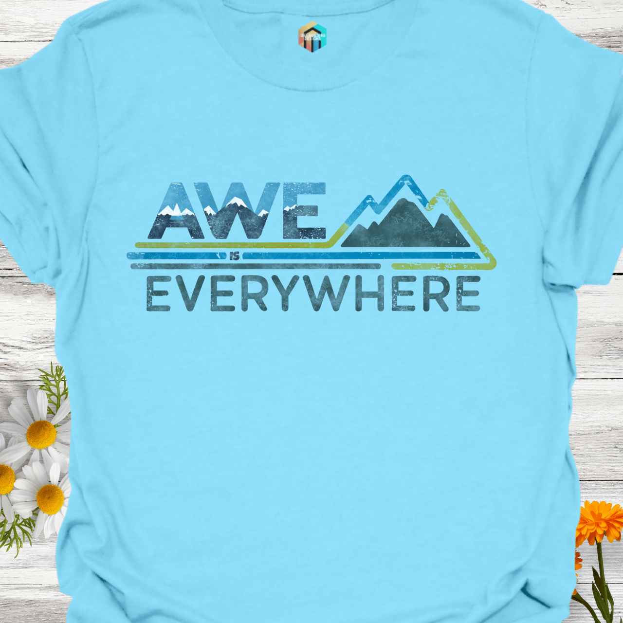 Awe is Everywhere T-Shirt