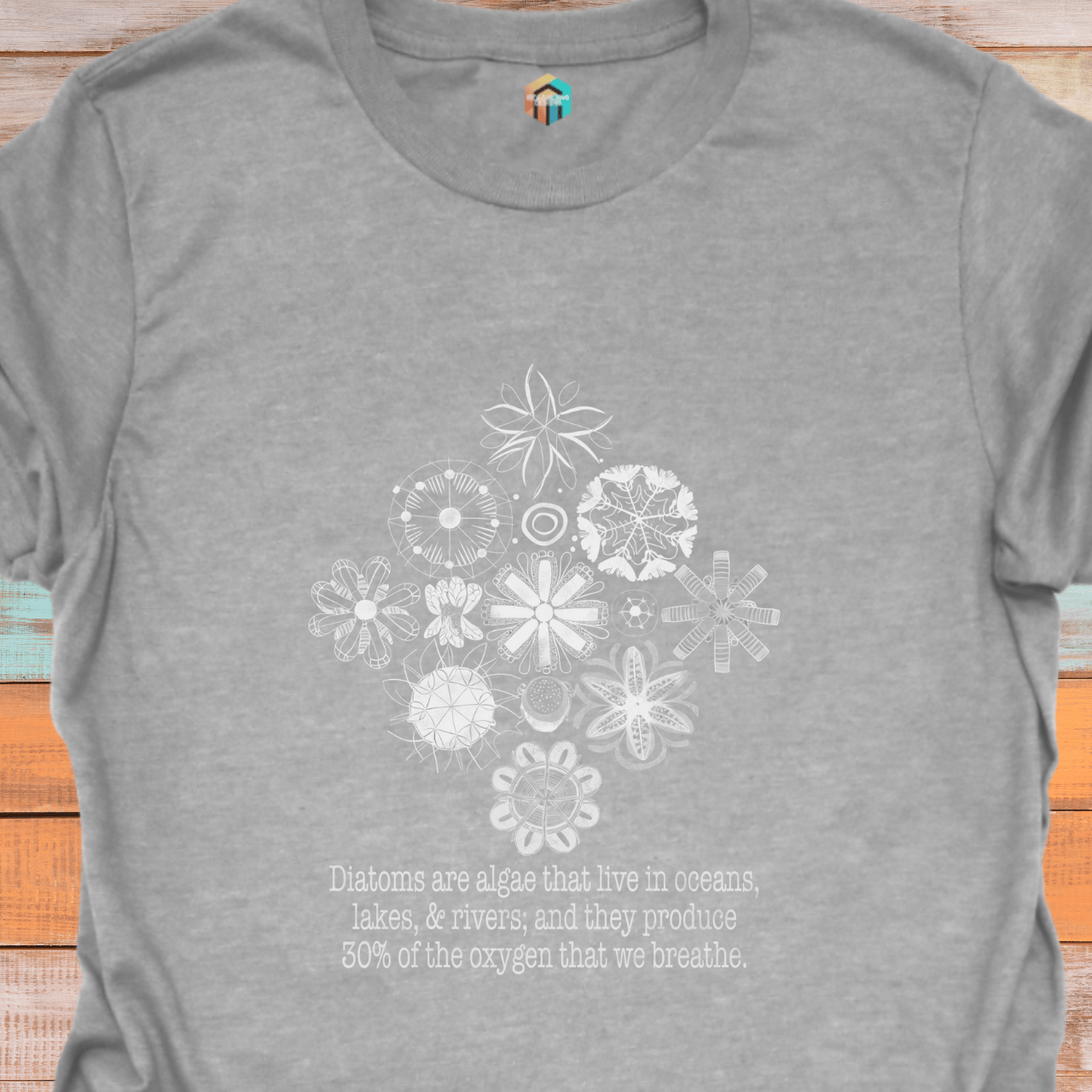 Diatoms are Our Friends T-Shirt